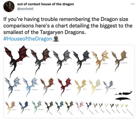 Game of Thrones returns with the House of the Dragon and with the show's premiere, come the Targaryens, Starks, and plenty of great tweets and memes. Dragon In House Of The Dragon, Dragons Of Game Of Thrones, Targaryen Family Tree House Of Dragon, Dragon Sizes House Of The Dragon, House Of The Dragon Timeline, Got House Of The Dragon, Hotd Dragons Tattoo, Dragons From Game Of Thrones, House Targaryen Dragons