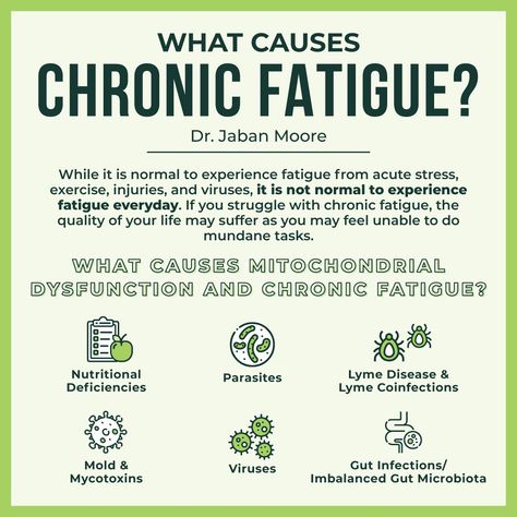 Are you plagued by daily exhaustion? Is it difficult to do daily tasks? Are there days where it takes all of your energy to get out of bed? While it is normal to experience fatigue from acute stress, exercise, injuries, and viruses, it is not normal to experience fatigue everyday. If you struggle with chronic fatigue, the quality of your life may suffer as you may feel unable to do mundane tasks. To begin, what is chronic fatigue? This symptom occurs when our bodies' mitochondria are dysfuncti Nutritional Healing, Fatigue Symptoms, Wellness Store, Chronic Fatigue Symptoms, Aip Diet, Nutritional Deficiencies, Chronic Inflammation, Daily Tasks, Sleep Pattern