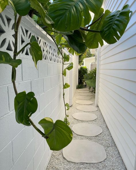 @ohana_beachhouse on Instagram: “So many questions lately about our steppers and gardens down the side of the house 🌴 Instead of the concrete path that was on our original…” Side Pathway Ideas, Stepping Stones Pathway, Backyard Pathway, Pathway Design, Backyard Renovation, Concrete Path, Side Yard Landscaping, Pool Garden, Coastal Gardens