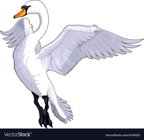 Swan Cartoon, Swan Vector, Flying Swan, Apollo Tattoo, Swan Drawing, Swan Tattoo, Fly Drawing, Swan Painting, Tears Art