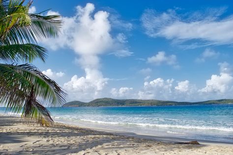 Read this guide to discover four secluded beaches that are worth finding in Puerto Rico. Puerto Rico Beach, Culebra Puerto Rico, Puerto Rico Beaches, Puerto Rico Pictures, Photography Ideas At Home, Porto Rico, Tropical Beaches, Secluded Beach, Secret Beach