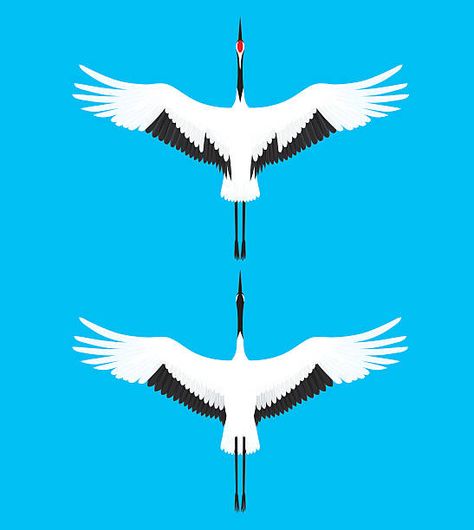 Crane Vector, Red Crowned Crane, Snowboard Design, Japanese Crane, Reverse Applique, Japanese Illustration, Japanese Graphic Design, Animal Graphic, Tattoo Flash Art