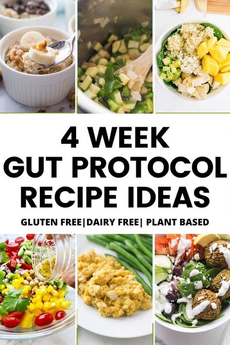 Are you looking for recipes ideas for Beachbody's newest program, the 4 Week Gut Protocol? I have rounded up my favorite gluten and dairy free recipes that are full of plant power to help you meal plan for success. Gut Healthy Vegetarian Recipes, Gut Healthy Meal Prep, Gut Healing Recipes Dinners, 4 Week Gut Protocol, Gut Healthy Meals, Gut Protocol, Confessions Of A Fit Foodie, Clean Gut, 1200 Calorie Diet Meal Plans