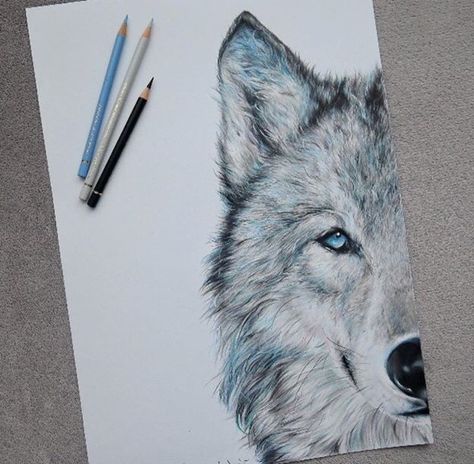 Wolf Sketch, Wolf Colors, Painting Canvases, Wolf Drawing, Half Face, Colored Pencil Drawing, Animal Sketches, Wolf Art, Color Pencil Art