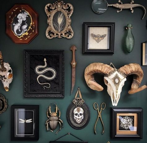 Oddities Decor, Dark Home Decor, Goth Home, Goth Home Decor, Dark Home, Goth Decor, Gothic Decor, Gothic Home Decor, Gothic House