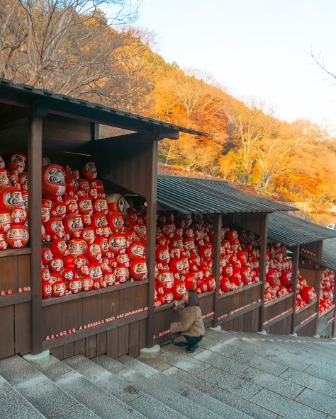 If you think visiting Osaka is only great for exploring food, you're mistaken‼️🇯🇵 In northern Osaka, you'll find a temple filled with Daruma dolls, and I believe it's stunning and worth visiting, especially during autumn🍂 It’s easily accessible by public transportation, even though it's located on the mountainside of Minoh.⛰️ 🔖Don’t forget to add this to your Osaka itinerary and buy your own Daruma doll when you visit here. 📍Katsuoji Temple, Minoh Osaka #勝尾寺 #japan #japantravel #visitja... Japan Osaka Travel, Katsuoji Temple, Osaka Aesthetic, Japan Photo Ideas, Photo Japon, Japan Travel Outfit, Summer Before College, Japan Moodboard, Osaka Itinerary