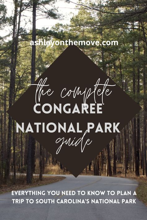 Everything you need to know to plan a trip to Congaree National Park outside of Columbia, SC! How to get there, what trails to hike, where to stay, and what to pack. Congaree National Park, East Coast Travel, East Coast Road Trip, Plan A Trip, Columbia Sc, National Parks Trip, Us National Parks, Travel Planning, What To Pack