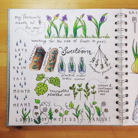 Nature journal garden journal  #sketchbook #naturejournal Garden Bullet Journal, Garden Journal Ideas, Garden Journaling, Gardening Journal, Nature Journals, Nature Journaling, Plant Journal, Garden Diary, Garden Planner