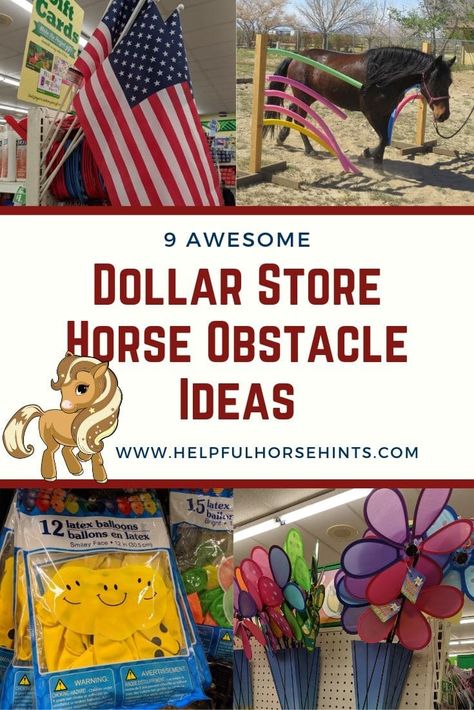 9 Awesome Dollar Store Horse Obstacle Course Ideas. Make your obstacle course even more challenging by adding any one of these items you can find at the dollar store. If you and your horses love obstacles, this post is a must read! Horse Obstacle Course Ideas, Horse Obstacle Course, Obstacle Course Ideas, Horse Training Exercises, Horse Lessons, Course Ideas, Horse Exercises, Horse Games, Horse Camp