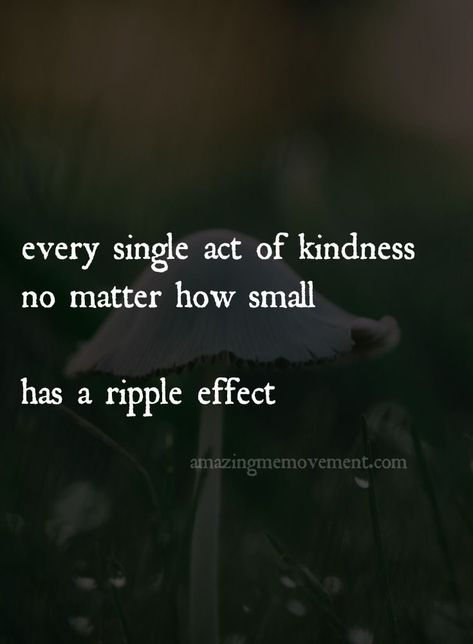 Every single Act of Kindness, no matter How small...has a ripple effect Disrespect Quotes, Quotes Single, Quotes Smile, Gentleman Rules, Daily Reflections, Trust Quotes, Act Of Kindness, Ripple Effect, Single Quotes