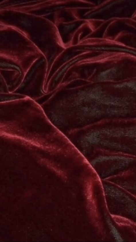 Burgandy Asethic, Red Blanket Aesthetic, Thief Aesthetic, Ipad Decor, Dragon Wing, Bear Painting, Photo Mood, Red Blanket, Red Theme