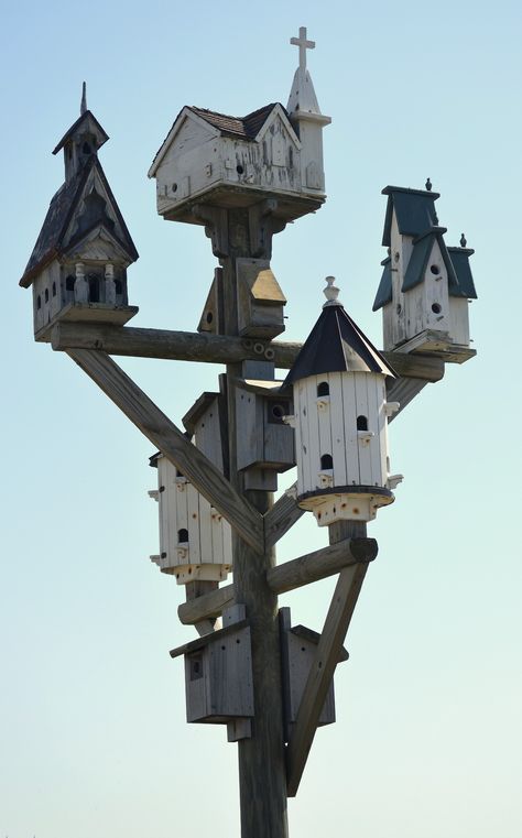 Martin House Plans, Purple Martin House Plans, Martin Bird House, Martin Bird, Purple Martin House, Roanoke Island, Purple Martin, Homemade Bird Houses, Bird Houses Ideas Diy