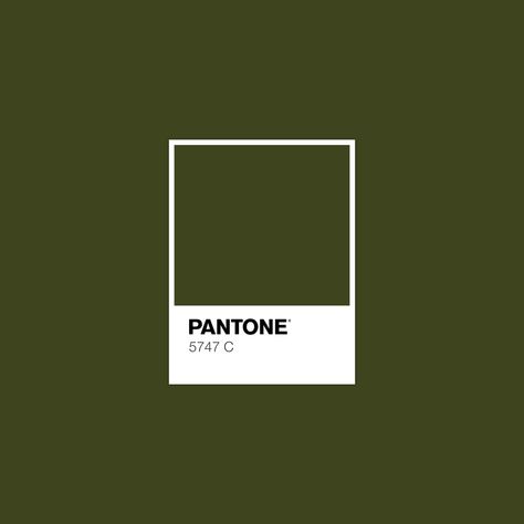 5747 C Khaki Pantone, Pantone Green, Pantone Colours, Pantone Palette, Color Pantone, Pantone Colour Palettes, Pantone Colors, Fall Color Palette, Colour Board