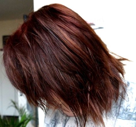 Lush Henna Natural Dye In Caca Marron // Before + After | Good Golly Miss Hollie Lush Henna Hair Dye, Lush Henna, Washing My Hair, Henna Leaves, Red Henna, Organic Henna, Work Advice, Henna Hair, Haircut And Color