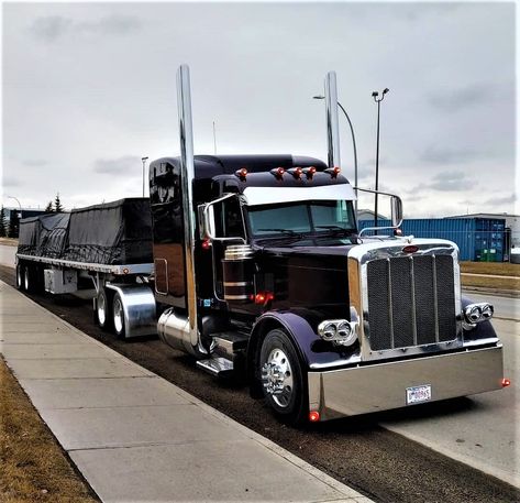 Best Trucks, Trucks For Sell, Semi Trailer Truck, Peterbilt 389, Freightliner Trucks, Mercedes Benz Trucks, Custom Big Rigs, Peterbilt 379, Trucking Life