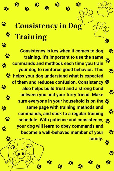 Dog Training Barking, Dog Commands, Dog Behavior Training, Dog Remedies, Mental Exercises, Easiest Dogs To Train, Basic Dog Training, Dog Potty Training, Dog Training Advice