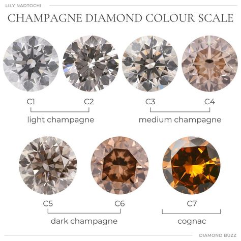 Colour Scale, Diamond Scale, Brain Storming, Diamond Color Scale, Jewelry Knowledge, Brown Diamonds, Cognac Diamonds, Diamonds Jewelry, Color Scale