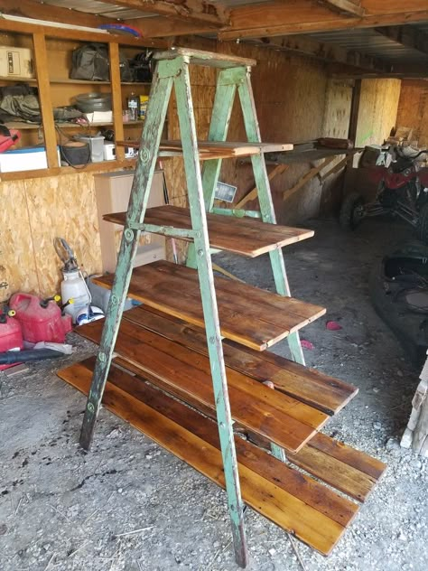 Ladder shelf diy Plant Ladder Shelf, Ladder Shelf Decor, Plant Ladder, Ladder Shelf Diy, Shelf Decor Ideas, Ladder Ideas, Ladder Display, Vintage Booth Display, Craft Fair Booth Display