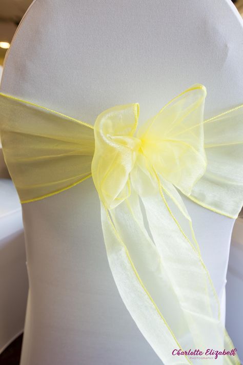 Lemon chair sash in a bow on the back of a white chair cover. It made the room look bright, breezy and summery. White Chair Covers, Chair Ties, Yellow Wedding Theme, Chair Sash, Yellow Chair, Yellow Theme, Baby Wedding, Chair Decorations, Yellow Wedding