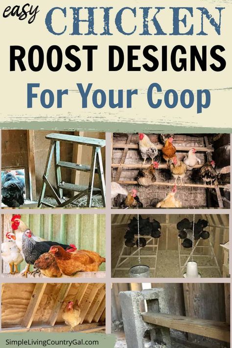 Natural Chicken Roost, Pallet Ideas For Chickens, Chicken House Roost Ideas, Diy Chicken Coop Interior, Ladders For Chicken Coop, Diy Chicken Coop Roosts, How To Build A Chicken Roost, Removable Roosting Bars For Chickens, Easy Diy Roosting Bar