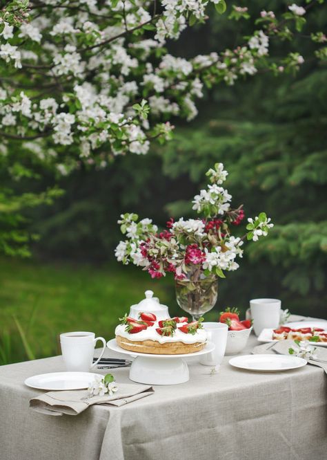 Afternoon tea in the garden. Garden party Easter Lunch Table, Spring Centerpieces, Elegant Table Decorations, Tea In The Garden, Gingham Napkins, Bamboo Cutlery, Spring Table Settings, Spring Entertaining, Spring Table Decor