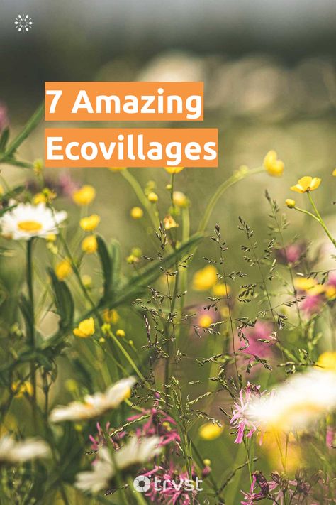 "7 Amazing Ecovillages"- Due to growing concerns about our world, people are developing sustainable communities committed to natural living. These are ecovillages. If you’re not entirely familiar with the concept of an eco-village, this article highlights what you need to know alongside... #trvst #inspiration #sustainableliving #impact #sustainable #sustainableliving #environment #eco #natural #communities #people #ecofriendly #mothernature Eco Community Design, Ecovillage Community, Ecovillage Design, Village In Forest, Homestead Community, Commune Living, Small House Communities, Eco Village Community, Eco Home Sustainable Living