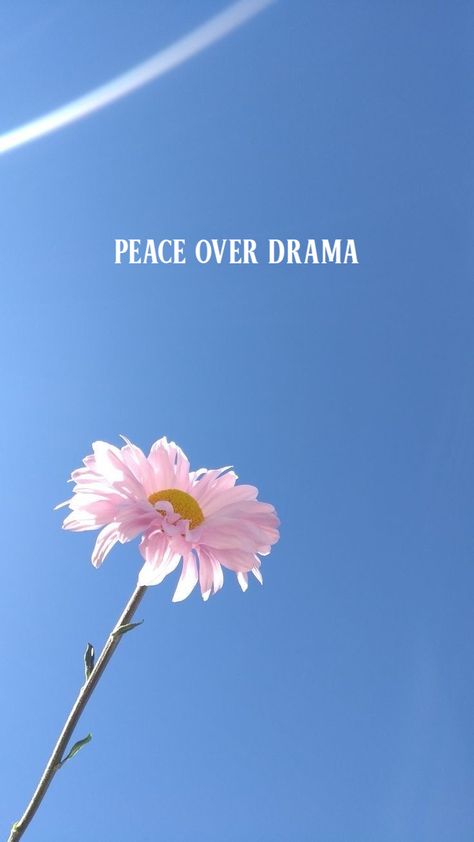 Over Drama Quotes, Peace Over Drama Quotes, Choose Peace Over Drama, Peace Over Drama, Choose Peace, Drama Quotes, Self Respect, Drama, Quotes