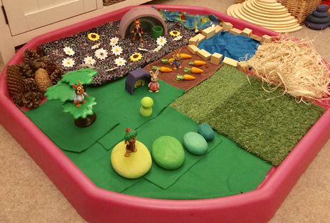 Peter Rabbit Tuff Tray Ideas, Tuff Tray Ideas, Peter Rabbit Birthday, Rabbit Birthday, Rabbit Garden, Tuff Tray, Tray Ideas, Bird Houses Diy, Play Ideas