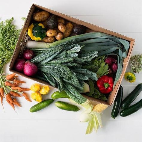 6 Produce Box Subscriptions For Fresh Veggies Delivered Straight To Your Door Fresh Produce Photography, Fresh Produce Packaging, Kitchen Shoot, Vegetable Delivery, Veggie Box, Package Photography, Fruit Hampers, Box Subscriptions, Vegetable Boxes