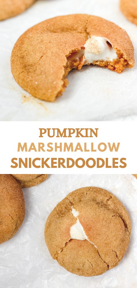 These pumpkin snickerdoodles are perfectly soft and chewy, with a gooey marshmallow filling. These cookies are easy to make and a delicious fall treat! Snickerdoodle Marshmallow Cookies, Pumpkin And Marshmallow Recipes, Pumpkin Marshmallow Dessert, Pumpkin Marshmallow Recipes, Marshmallow Filled Cookies, Marshmallow Snickerdoodle, Pumpkin Marshmallow Cookies, Marshmallow Pumpkin Pie, Fun Fall Desserts