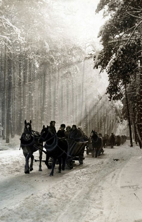 Kulig in the Kampinos Forest, Poland, 1972 [source].  Kulig (sleigh ride) is an old Polish winter tradition popularized by the szlachta (nobility) during Renaissance. Winter Spa, Polish Culture, Poland History, Sleigh Rides, Visit Poland, Poland Travel, Dashing Through The Snow, Winter Photos, Christmas D