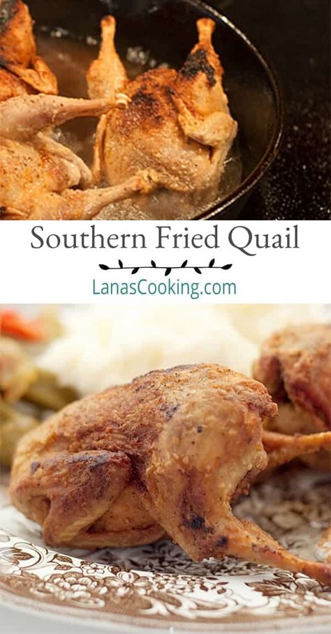 Southern Fried Quail - A southern delicacy straight out of my childhood - simply seasoned, deep fried quail. From @NevrEnoughThyme https://www.lanascooking.com/southern-fried-quail/ Quale Bird Recipes, How To Cook Quail, Fried Quail Recipes, Cooking Quail, Quail Meat, Quail Recipes, Fried Quail, Rabbit Recipes, Raising Quail