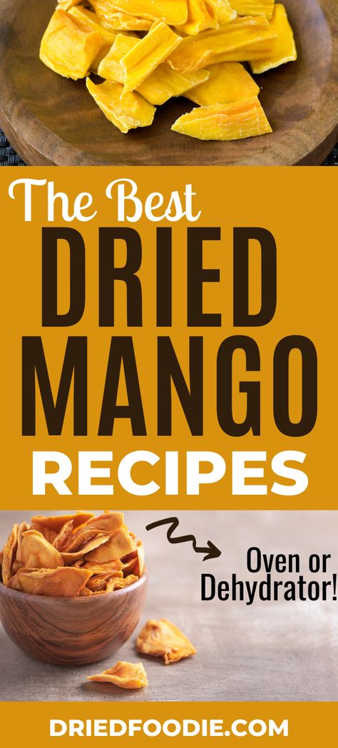 With these 10 delicious dried mango recipes, you'll never run out of ideas for desserts, snacks, smoothies, and more. Homemade dehydrated mango is the main ingredient! Dehydrated Dessert Recipes, How To Make Dried Mango, Freeze Dried Mango Recipes, Dried Mango Recipe Desserts, Recipes Using Dried Mango, Mango Dehydrator Recipes, Dehydrated Mango In Dehydrator, Dehydrate Mango, Recipe Using Dried Apricots