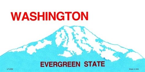 Washington License Plate, Evergreen State, Broken Arm, License Plate, Art Ideas, Washington, Tattoos, Birthday, Quick Saves