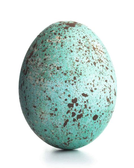 Found on Bing from www.marthastewart.com Shaving Cream Easter Eggs, Decorating Easter Eggs, Easter Egg Decorating Ideas, Easter Egg Decorations, Egg Decorating Ideas, Speckled Eggs, Easter Egg Dye, Easter Tablescapes, Ideas For Decorating