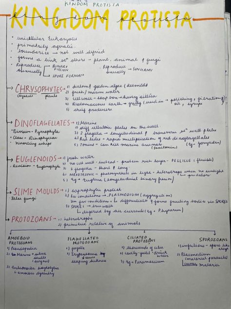 All you need to know about kingdom protista. Kingdom Protista Notes Aesthetic, Neet Ug Notes, Kingdom Protista Notes Class 11, Kingdom Monera Notes Class 11, Kingdom Protista Notes, Biological Classification Notes For Neet, Biological Classification Notes, Biology Tricks, Protista Kingdom