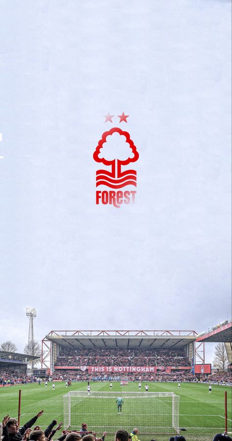 Nottingham Forest Wallpaper, Forest Wallpaper Iphone, Nottingham Forest Football Club, Manchester United Art, Nottingham Forest Fc, Forest Logo, Brentford Fc, Jesse Lingard, Memphis Depay