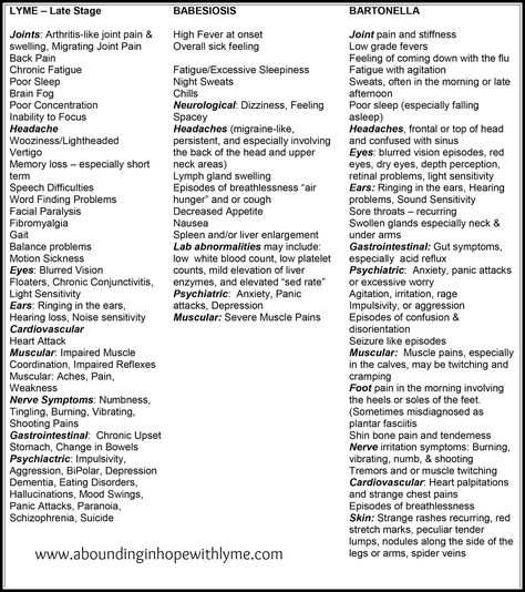 Symptom Chart - Lyme Disease, Babesiosis and Bartonella • Abounding in Hope with Lyme Bartonella Symptoms, Lymes Disease, Emt Study, Hollistic Health, Chronic Lyme, Disease Symptoms, Sounds Good To Me, Chronic Fatigue, Chronic Illness