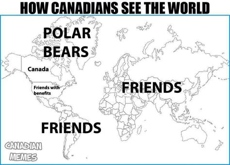 This is incorrect, it implies that Canadians aren't friends with polar bears Canadian Memes Funny, Canada Memes Hilarious, Canada Jokes, Canadian Memes, Canada Memes, Canadian Humor, Cold Places, Canadian Things, Phone Photo