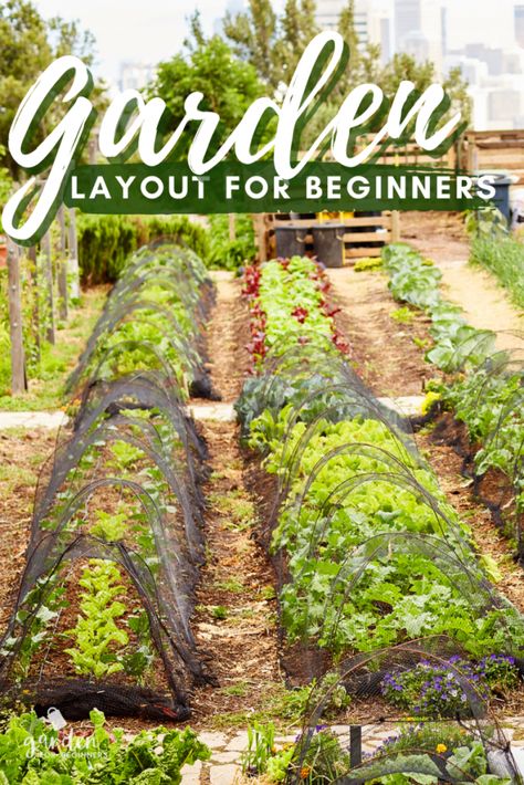 In Ground Vegetable Garden Design, Garden Planting Layout, Food Garden Layout, Raised Bed Garden Layout, Homestead Garden Layout, Veggie Garden Layout, Planting Layout, Vegetable Garden Layout Design, Vegetable Garden Layout