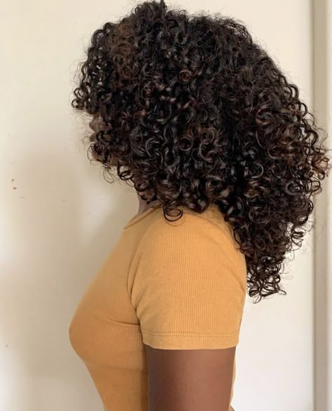 Orange Blossom Strawberry Shortcake, Strawberry Shortcake And Friends, Highlights Curly Hair, Dyed Hair Inspiration, Beautiful Curly Hair, Natural Curls Hairstyles, Curly Hair Inspiration, Curly Girl Hairstyles, Coily Hair