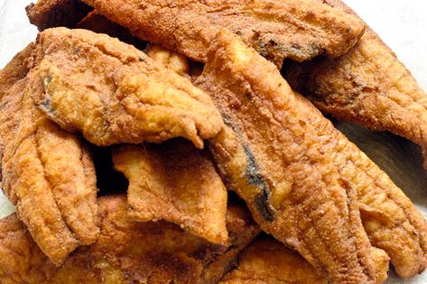 Fried Mullet Smoked Mullet Dip Recipe, Smoked Mullet, Mullet Recipe, Fish Dip Recipe, Fish Dip, Mullet Fish, King Mackerel, Spanish Mackerel, Seafood Menu