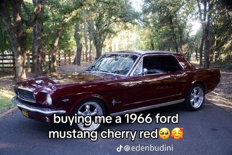 Cherry Red Mustang, Red Ford Mustang, Red Mustang, 1966 Ford Mustang, Red Cherry, Pretty Cars, Car Girl, Cute Cars, Cherry Red