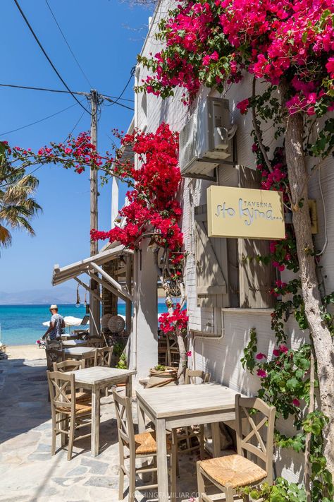 Naxos Greece: 10 Amazing Things to Know Before Your First Visit Greece Flowers, Travel To Greece, Naxos Greece, Naxos Island, Visit Greece, Greece Vacation, Relaxing Vacations, Visiting Greece, Dream Travel Destinations