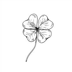 Shamrock Sketch, Clover Sketch, Pure Tattoo, Leaf Tattoo Design, Blatt Tattoos, Cousin Tattoos, Four Leaf Clover Tattoo, Shamrock Tattoos, Leaf Tattoo