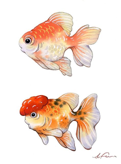 Goldfish Party, Goldfish Watercolor, Goldfish Art, New Tattoo Designs, Fish Illustration, Fish Drawings, Illustration Watercolor, Gold Fish, Monster Design