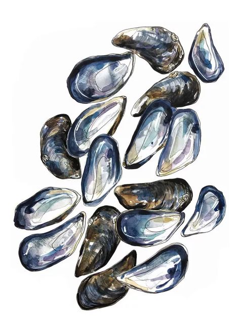 Ali Elly - Paintings for Sale | Artfinder Shell Drawing, Natural Form Art, Japanese Watercolor, Mussel Shell, Sea Life Art, Watercolour Ink, Gcse Art, Natural Forms, Buy Paintings