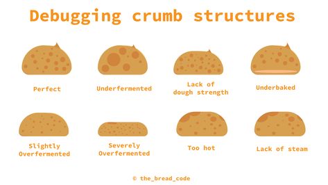 How To Read Sourdough Crumb, Sourdough Crumb Chart, Sourdough Chart, Sourdough Fermentation Chart, Sourdough Tips And Tricks, Sourdough Crumb Guide, Sourdough Mistakes, Sourdough Problems, Sourdough Facts