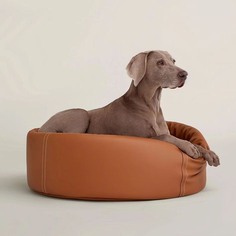 Dog Bed Large, January 4, Not For Sale, Dog Bed, Pet, Bed, Dogs, For Sale, Leather