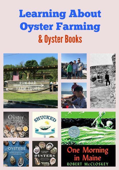 Oyster Fishing, Oyster Farming, Island Creek Oysters, Baby Oyster, Best Oysters, Farm Tour, Hawaiian Culture, Farm Stand, My Son Birthday